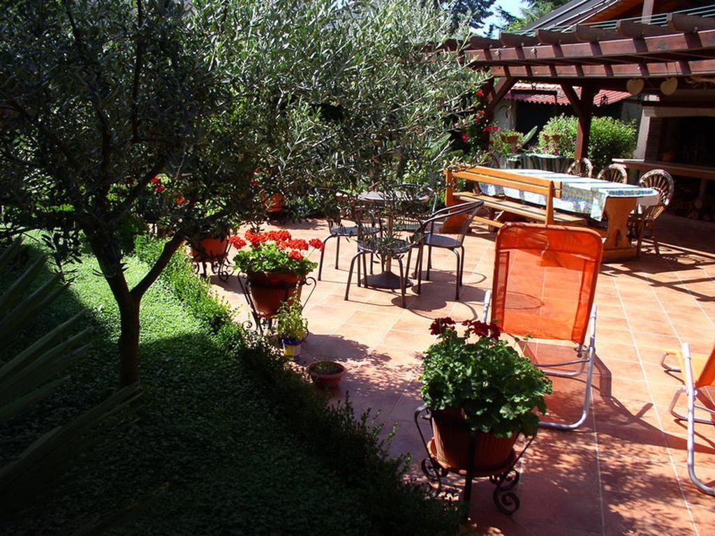 Apartments Villa Amfora Rovinj Zewnętrze zdjęcie