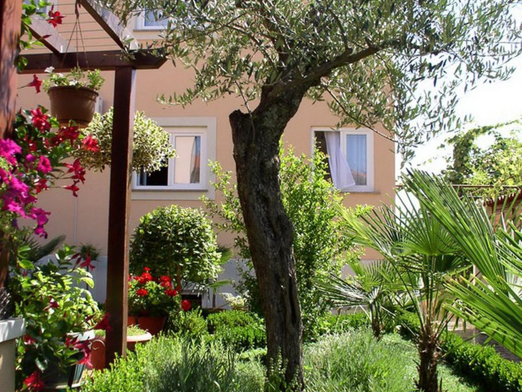 Apartments Villa Amfora Rovinj Zewnętrze zdjęcie